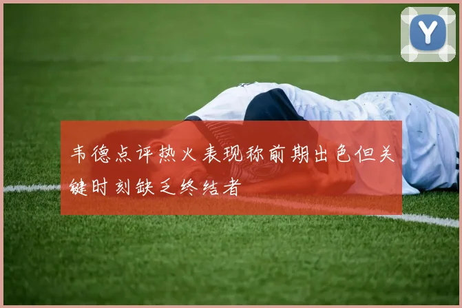 韦德点评热火表现称前期出色但关键时刻缺乏终结者