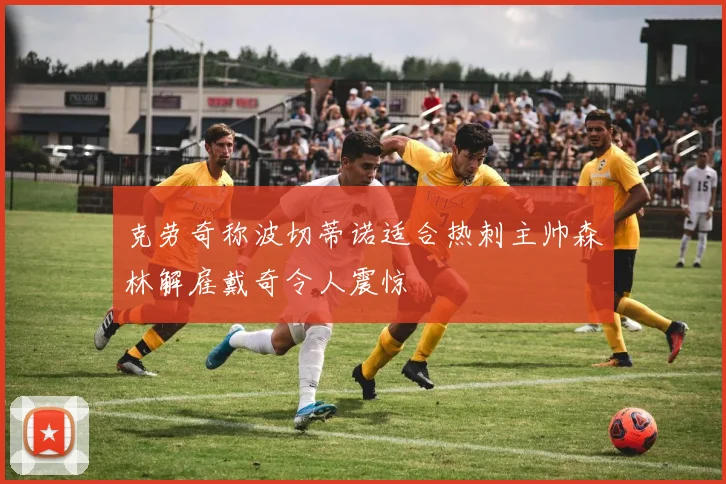 克劳奇称波切蒂诺适合热刺主帅森林解雇戴奇令人震惊